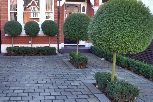 Photo 09-12-2025, 10 09 25 (67)